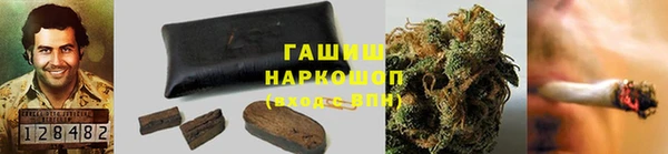 гашик Алзамай
