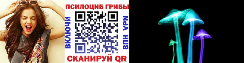 где продают наркотики  Тольятти  Псилоцибиновые грибы прущие грибы 